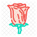 Rouge Roses Amour Icône