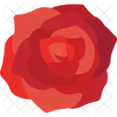 Rose Species Rose Varieties Floral Species Icon