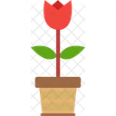 Rose Tree  Icon