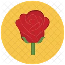 Rose vector  Icon