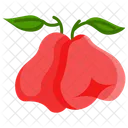 Roseapple  Icon
