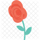 장미꽃 봉오리  아이콘
