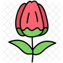 Rosebud  Icon