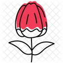 Rosebud Rosebud Flower Flower Icon