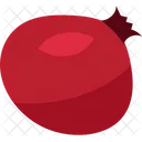 Rosehip berry  Icon