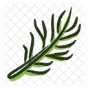 Rosemary Plant Spice Icon