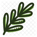 Rosemary Herb Leaf Icon