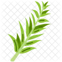 Rosemary Leaves Nature Icon
