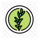 Rosemary Cosmetic Plant Icon