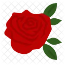 Rose Blume Duft Symbol