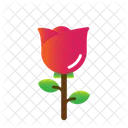 Rose  Symbol