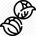 Rosenkohl  Symbol