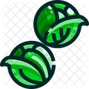 Rosenkohl  Symbol