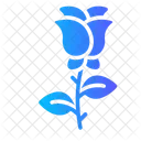 Roses Nature Plant Icon