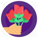 Flowers Roses Nature Icon
