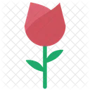 Roses  Icon