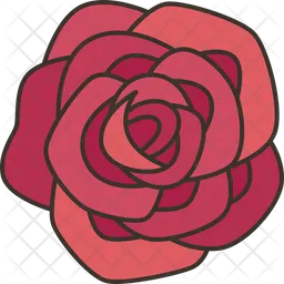 Roses  Icon