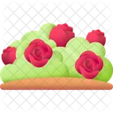 Roses Flowers Flower Icon