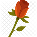 Roses Flowers Flower Icon