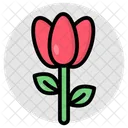 Rosette Flower Floweret Blossom Icon