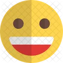 Rosto Sorridente Ícone
