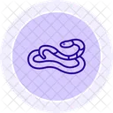 Rosy Boa Rosyboa Reptile Icon