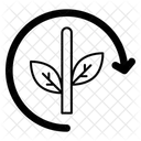  Icône