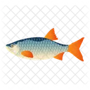 Rotaugenfisch  Symbol