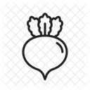 Rote Bete Gemuse Lebensmittel Symbol