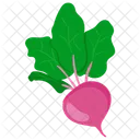 Rote Bete Ruben Wurzel Symbol