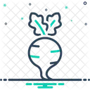 Rote Bete Gartenrube Saftig Symbol