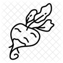 Rote Bete Wurzel Rot Symbol