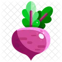 Rote Bete Gemuse Bio Symbol