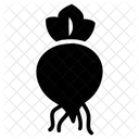 Rote Bete Rubenpflanze Pfahlwurzel Symbol