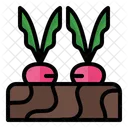 Rote Bete Ruben Ernte Symbol