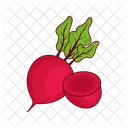 Rote Bete Knolle Rote Kartoffel Symbol