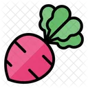 Rote Bete Ruben Radieschen Symbol