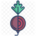 Rote Bete Vegetarisch Gemuse Symbol