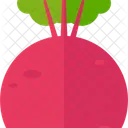 Rote Bete Rettich Vegan Symbol