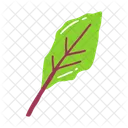 Blatt Eschenblatt Buchenblatt Symbol
