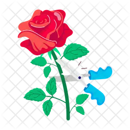 Rote Rose  Symbol