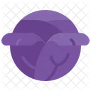 Rot Kohl Lila Symbol
