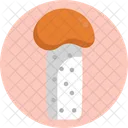 Pilze Rotkopfchampignon Pilz Icon