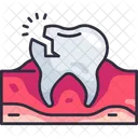 Odontologia Dentista Dentista Icono