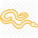 Rotschwanzboa Icon