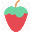 Rotten Decay Spoiled Icon
