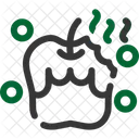 Rotten Decay Spoiled Icon