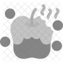 Rotten Decay Spoiled Icon