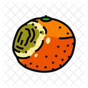Rotten Orange  Icon