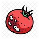Rotten Tomato  Icon